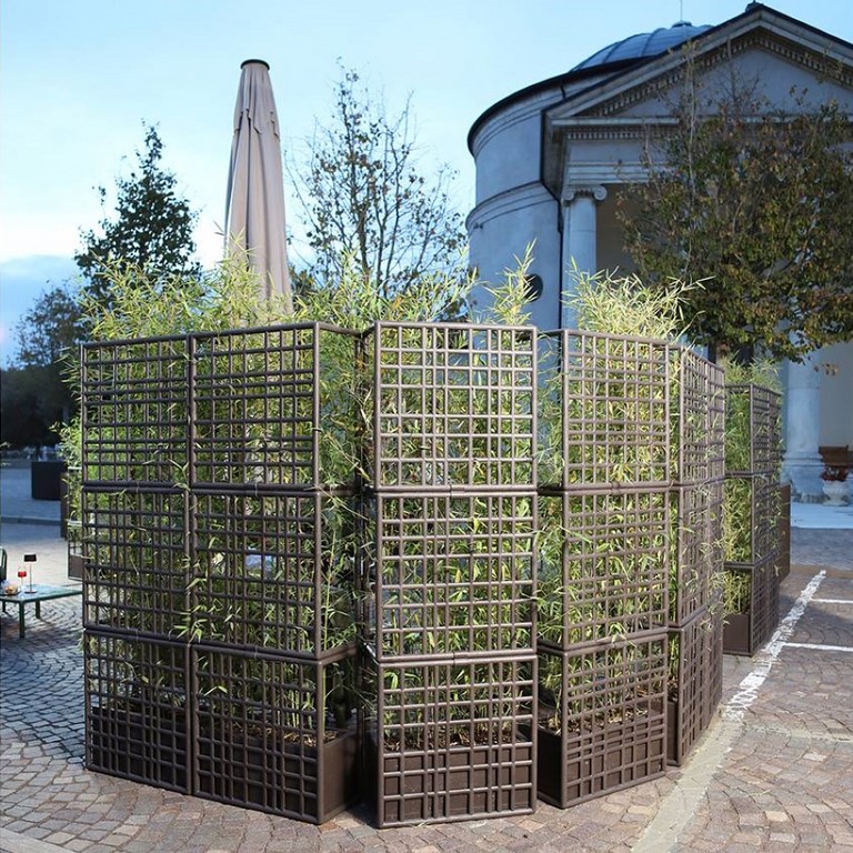 Regeneration Sipario Nardi